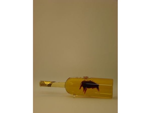 Fekv dszveg vrsborral tlttt bikval