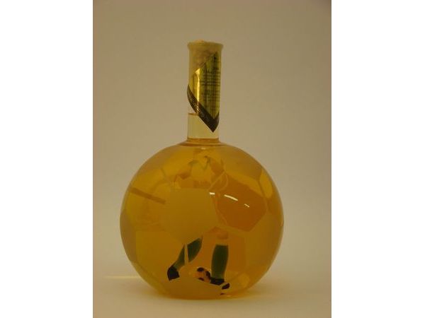 Focilabda benne focista