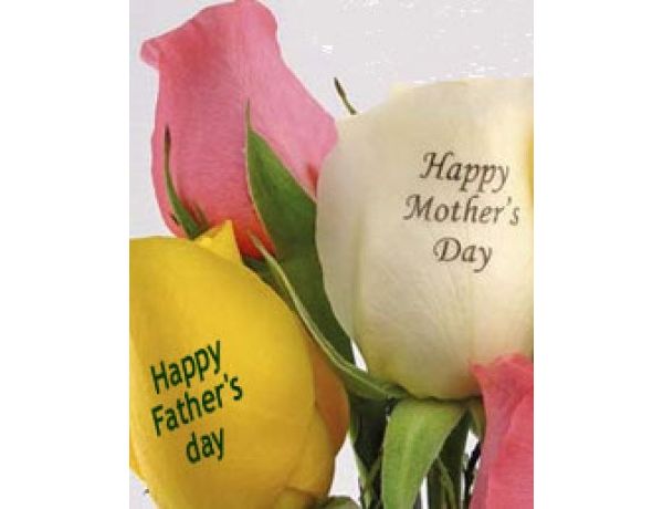 Tartstott gravrozott rzsa