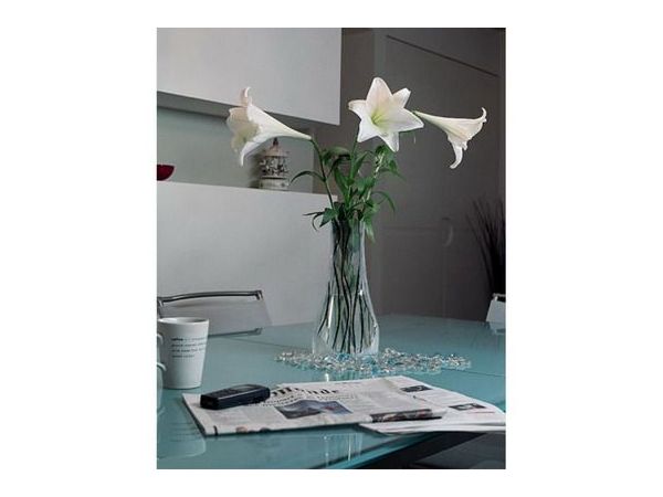 Egy vza amilyet mg soha nem ltott..