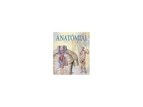 Anatómiai atlasz 